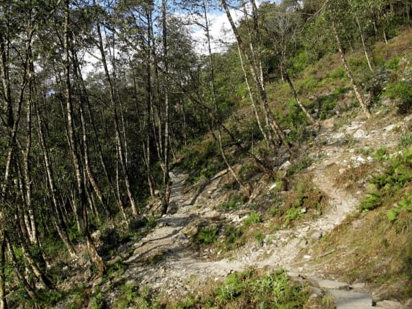 Trekking trail