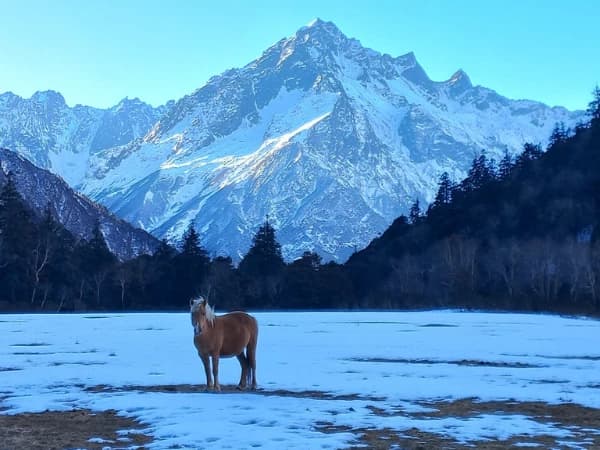 Api Himal Base Camp Trek itinerary featuring the remote trekking route in Far West Nepal by Overland Trek Nepal