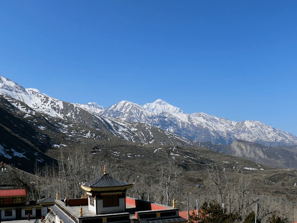 Nilgiri Mountain View