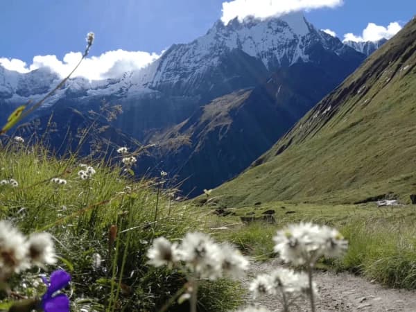 Annapurna Base Camp In Spring
