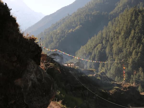 Beautiful Jungle Of Tsum Valley