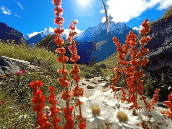 Colourful Annapurna Base Camp