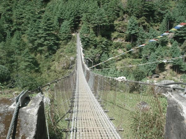 Greenery View With Suspension Bridge