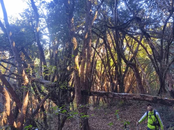 Khopra Lake Trek Via Jhinu Danda Hot Spring 2