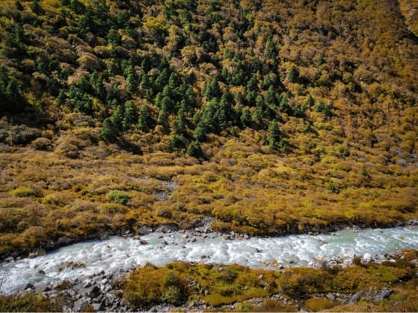 Langtang River With Green View