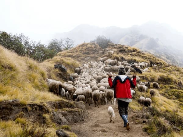 Local People Lifestyle In Mardi Himal Side