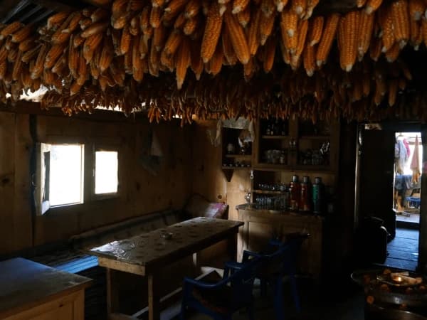 Local Teahouse Pikey Peak