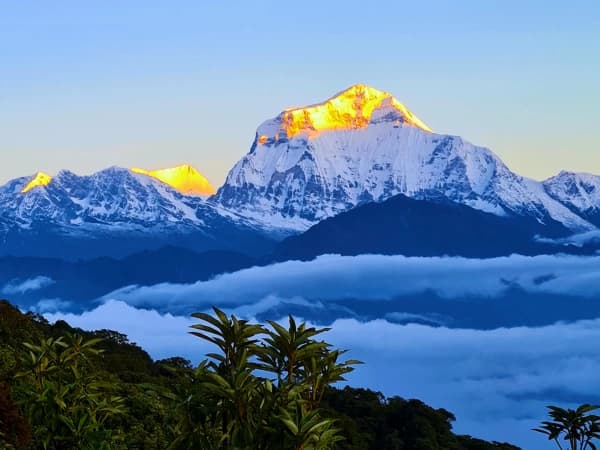 Mardi Himal Base Camp Overland Trek Nepal 6