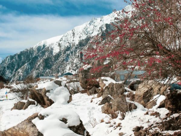 Short Langtang Valley Trek