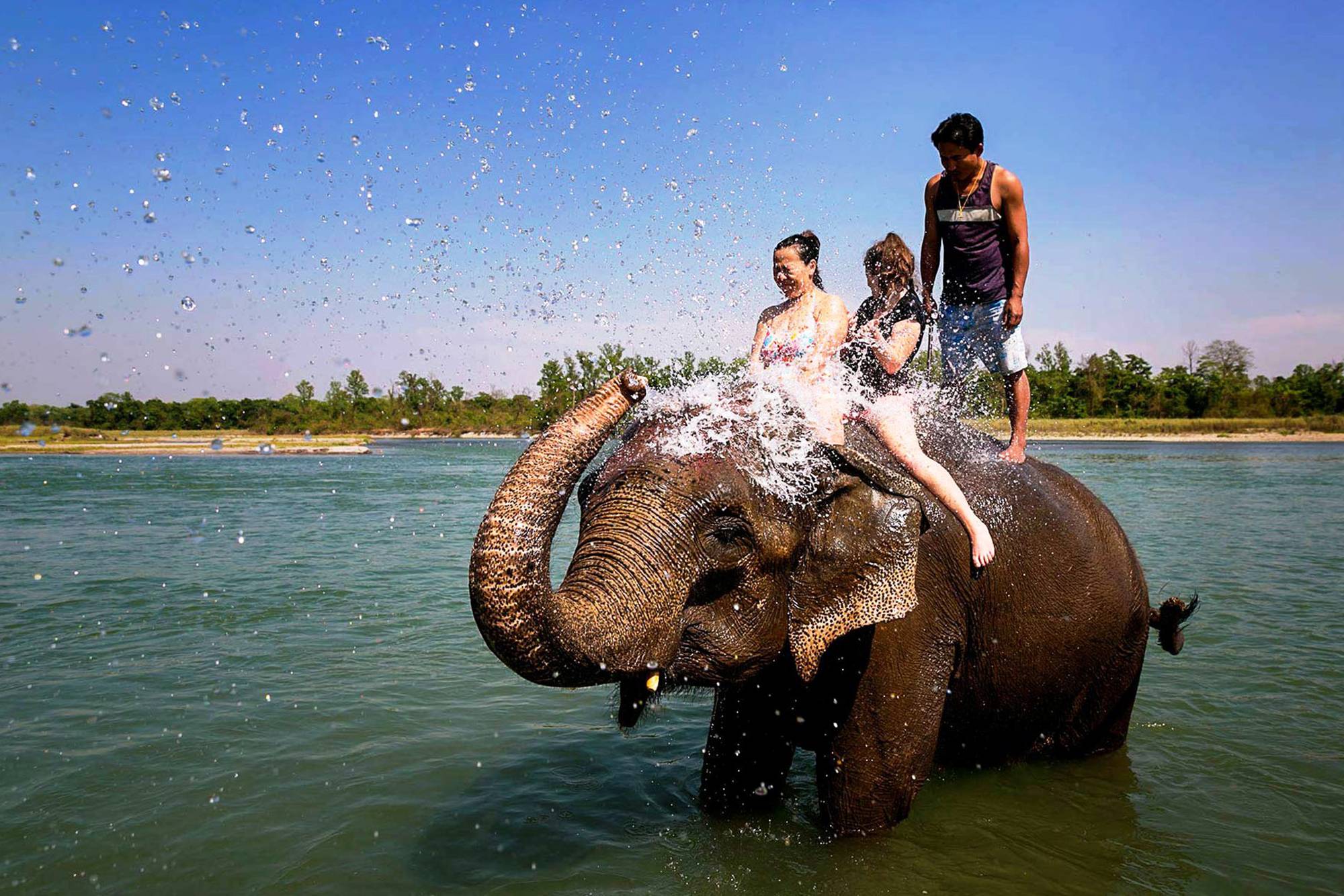 Elephant Riding in Chitwan | Chitwan Jugngle Safari | Overland Trek Nepal