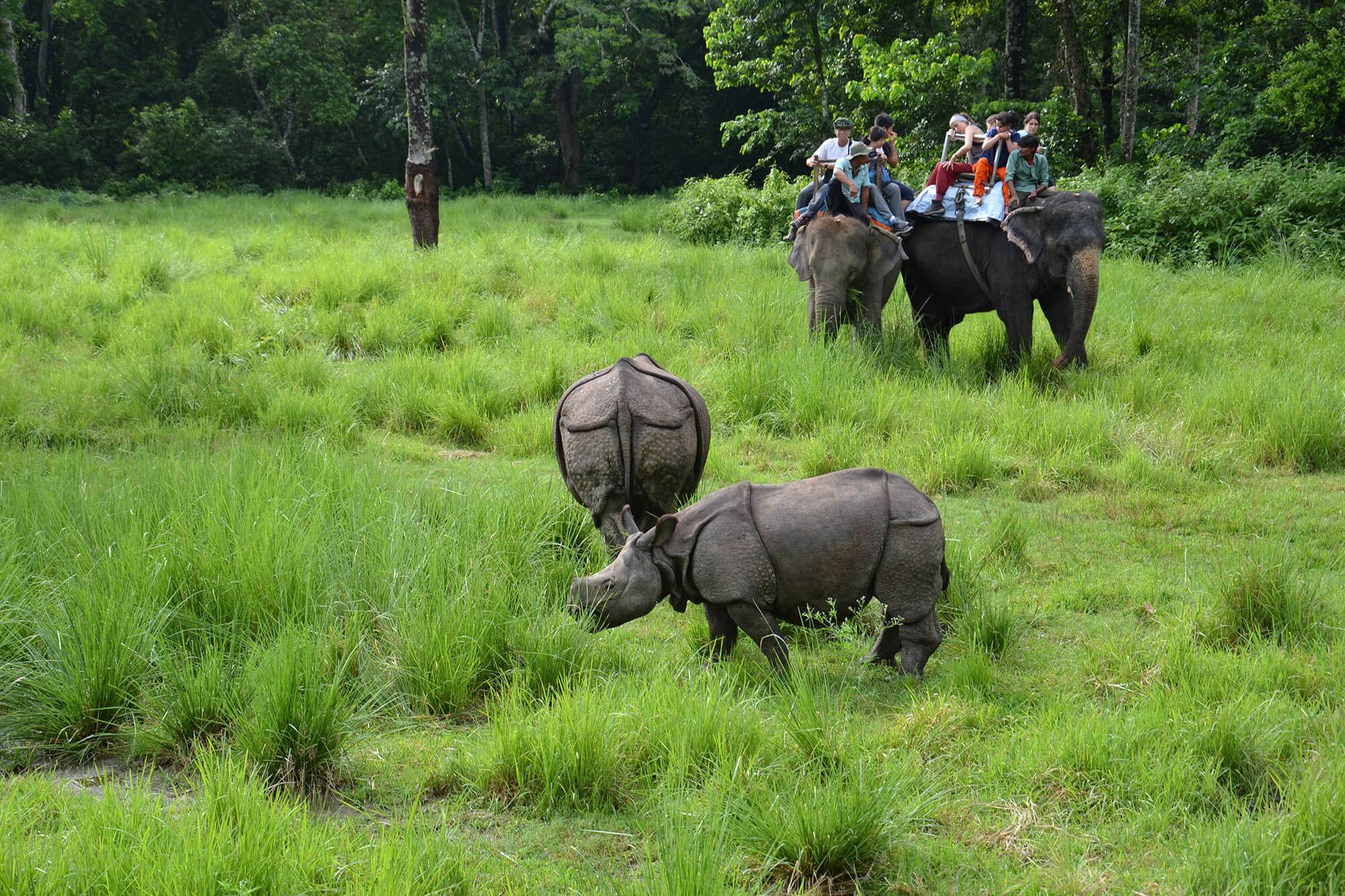 chitwan safari park