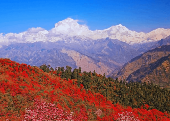 khopra-danda-trek-overland-trek-nepal-6.png