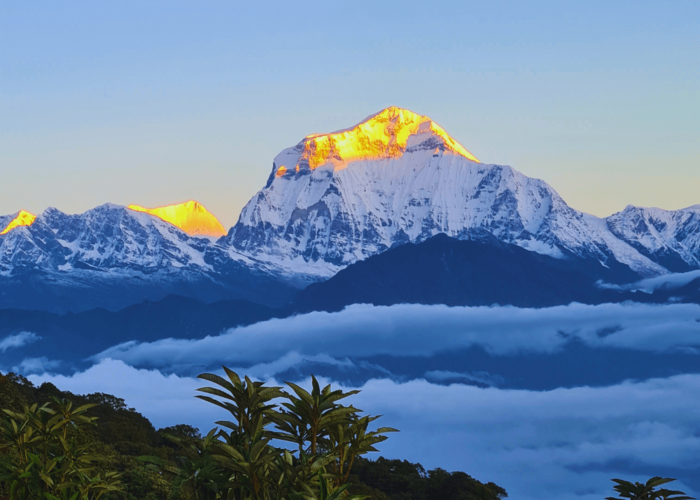 poon-hill-hotspring-trekking-overland-trek-nepal-5