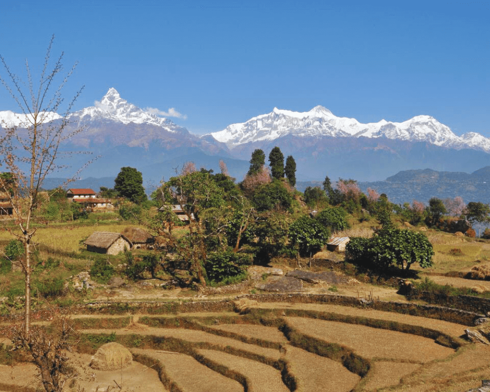 what-is-the-easiest-trek-in-nepal-panchase