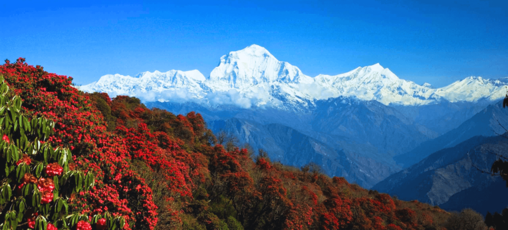 how-overland-trek-nepal-is-the-best-trekking-company-in-nepal