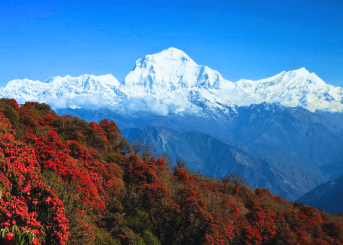 how-overland-trek-nepal-is-the-best-trekking-company-in-nepal